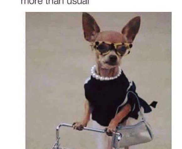 Meet your Posher, Deborah - Picture 1 of 1